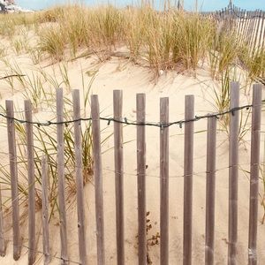 Meet your Posher, Paula